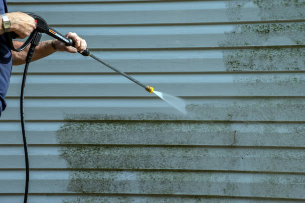 Animal Enclosure Cleaning in Towanda, PA